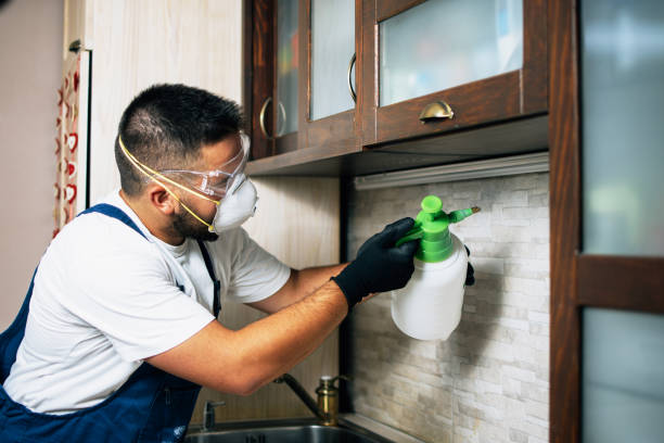 Best Affordable Pest Control Services  in Abingdon, VA