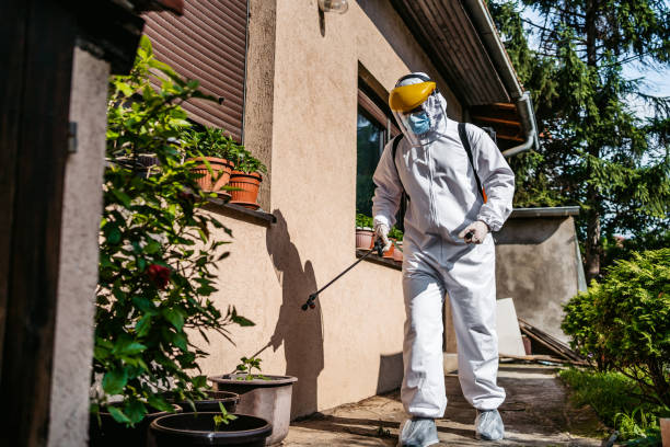 Best Cockroach Control Services  in Abingdon, VA