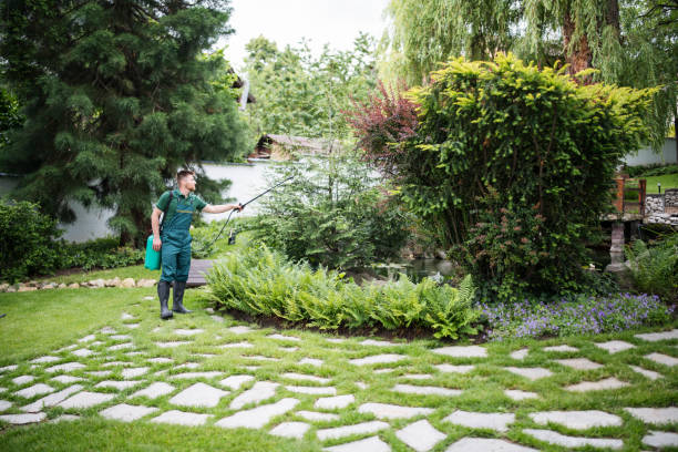 Best Local Pest Control Services  in Abingdon, VA