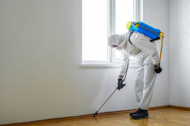 Best Pest Control Near Me  in Abingdon, VA