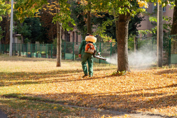 Best Exterminator Services  in Abingdon, VA