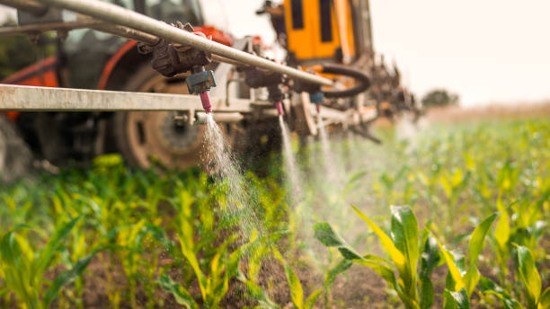 Best Commercial Pest Control Services  in Abingdon, VA